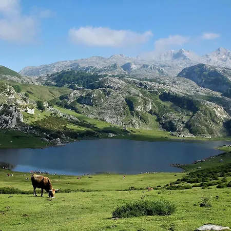 בקתה La Cocada Vv-144-as אריונדס