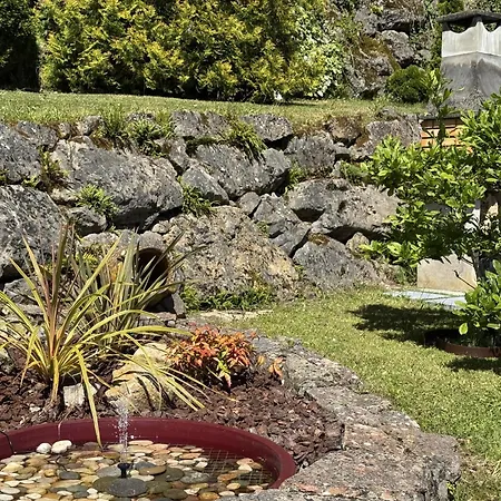 La Cocada Vv-144-as *